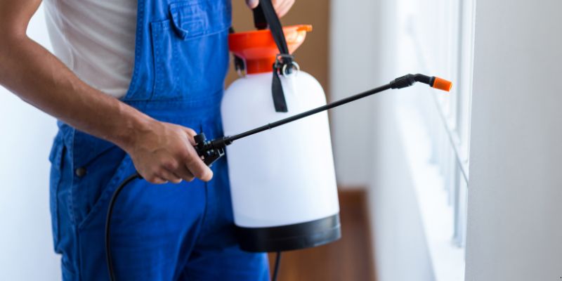 Como fazer dedetização em casa em Aracaju
