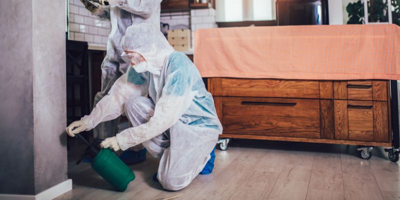 Dedetização em Apartamento Como Funciona em Aracaju: Confira 4 Passos
